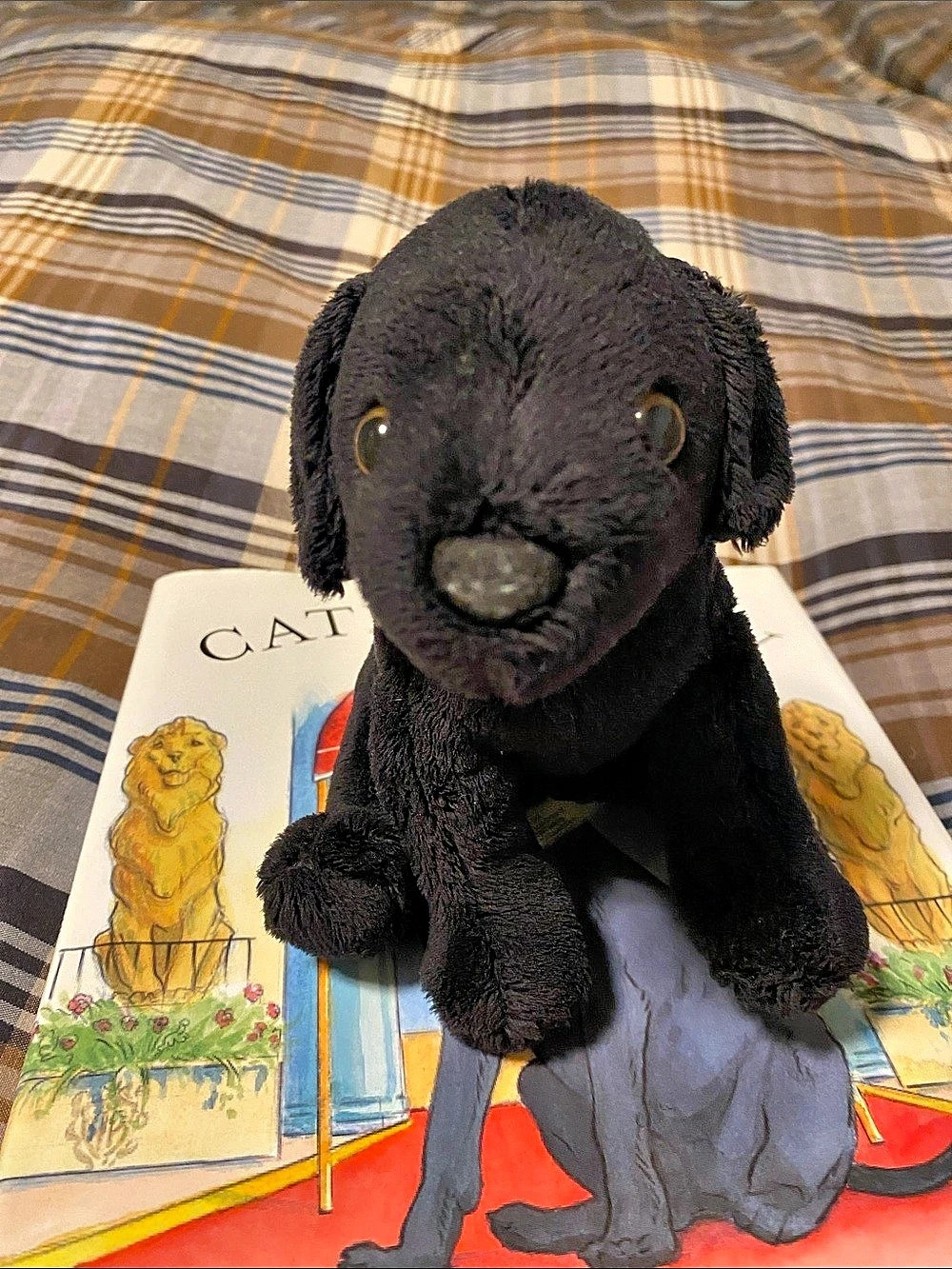Katie Black Plush Dog with Copley Book